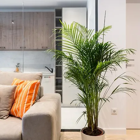 Contemporary Haven - 1 Bedroom With A Balcony Charm