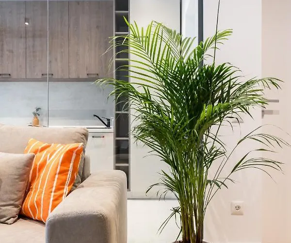 Contemporary Haven - 1 Bedroom With A Balcony Charm